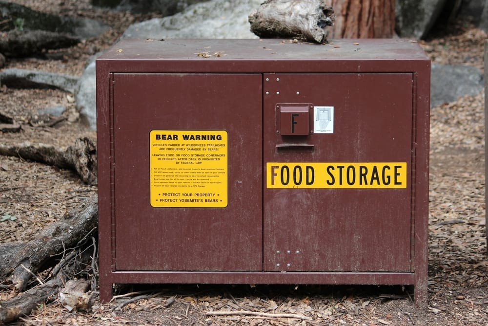 bear-food-locker-Yosemite-National-Park-California-wildife-rescue-animal-sanctuary-food-source-black-bear-vs-brown-bear-what-to-do-remain-calm-stay-a-safe-distance
