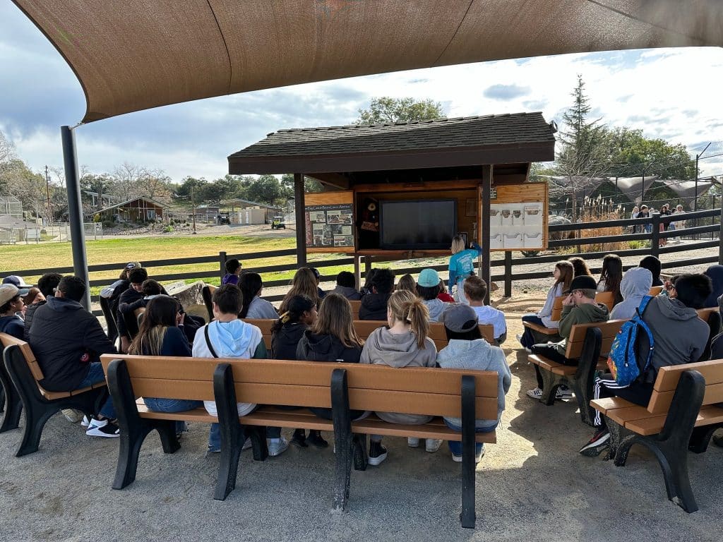 spend-a-day-at-San-Diego's-Lions-Tigers-and-Bears-to-learn-about-exotic-animals-wildlife-rescue-sanctuary-life