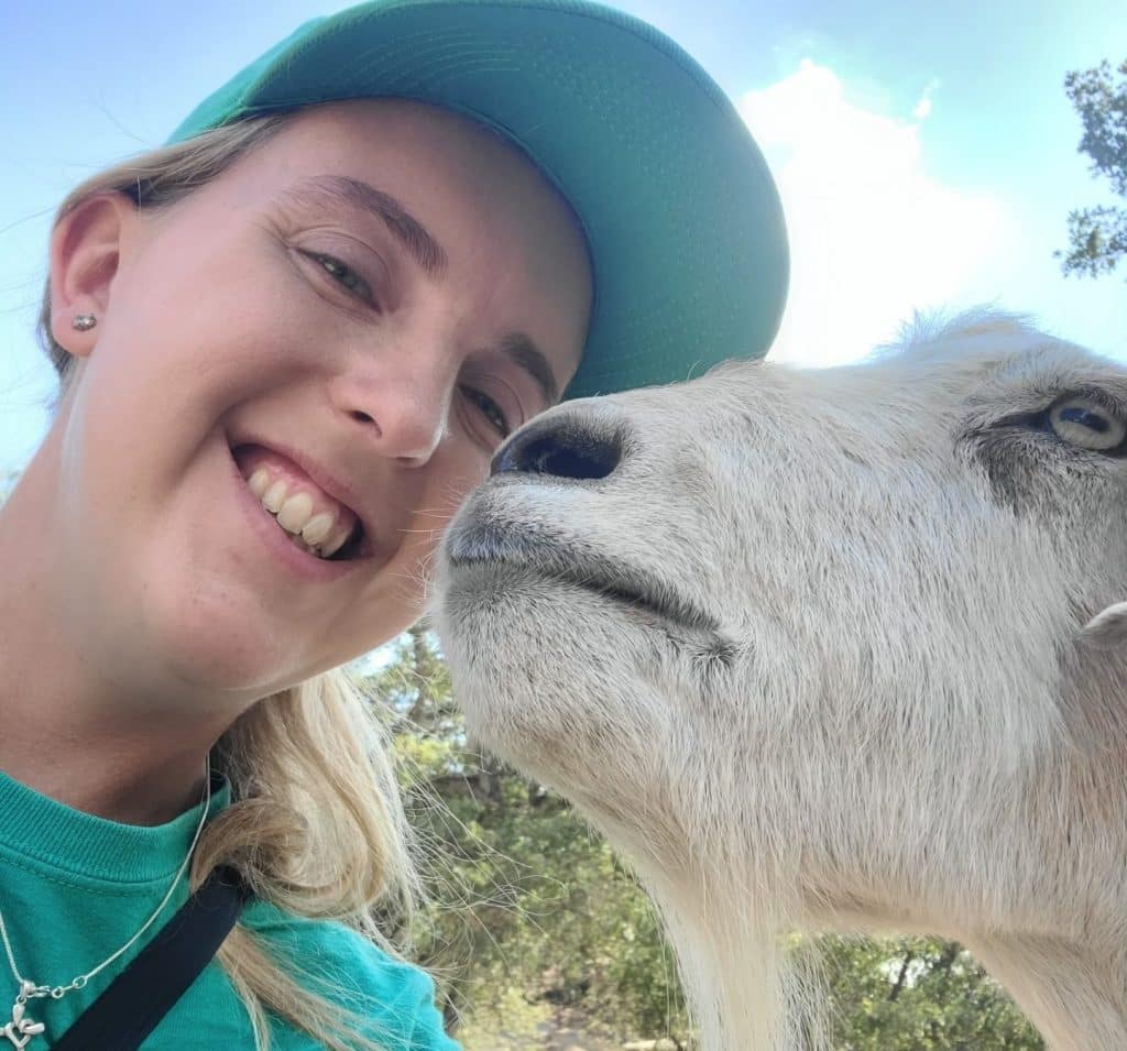 animal-care-animal-volunteer-opportunities-near-me-educational-programs-animal-rescue-role-of-volunteering-at-an-animal-sanctuary-San-Diego-Lions-Tigers-and-Bears-exotic-animals