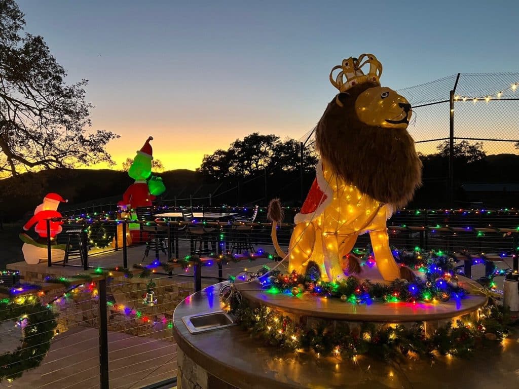California-black-bear-rescue-Christmas-decorations-big-cat-sanctuary-volunteer-with-animals-generous-donations-Giving-Tuesday-Christmas-with-the-animals-event-2025