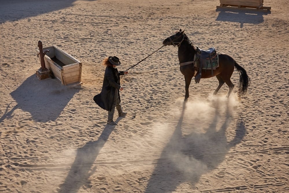 Hollywood-western-films-the-charge-of-the-light-brigade-Ben-Hur-Errol-Flynn-animals-in-entertainment-industry-motion-picture-film-production-animal-abuse-animal-rights-horses-big-cats-bears-animal-sanctuary-San-Diego