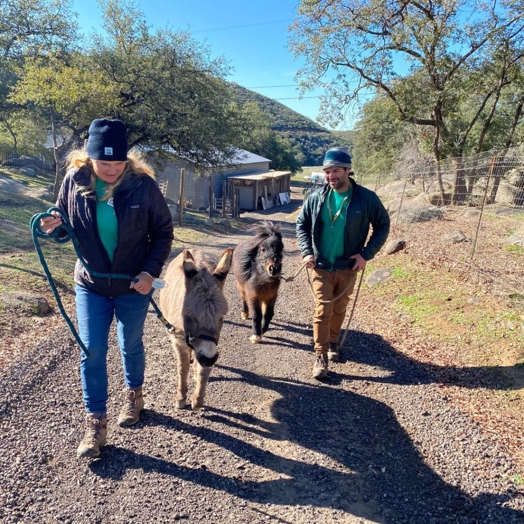volunteering-wth-animals-on-a-first-date-having-fun-do-something-good-get-fresh-air-spend-time-with-wild-animals-great-opportunity-fun-things-to-do-in-San-Diego