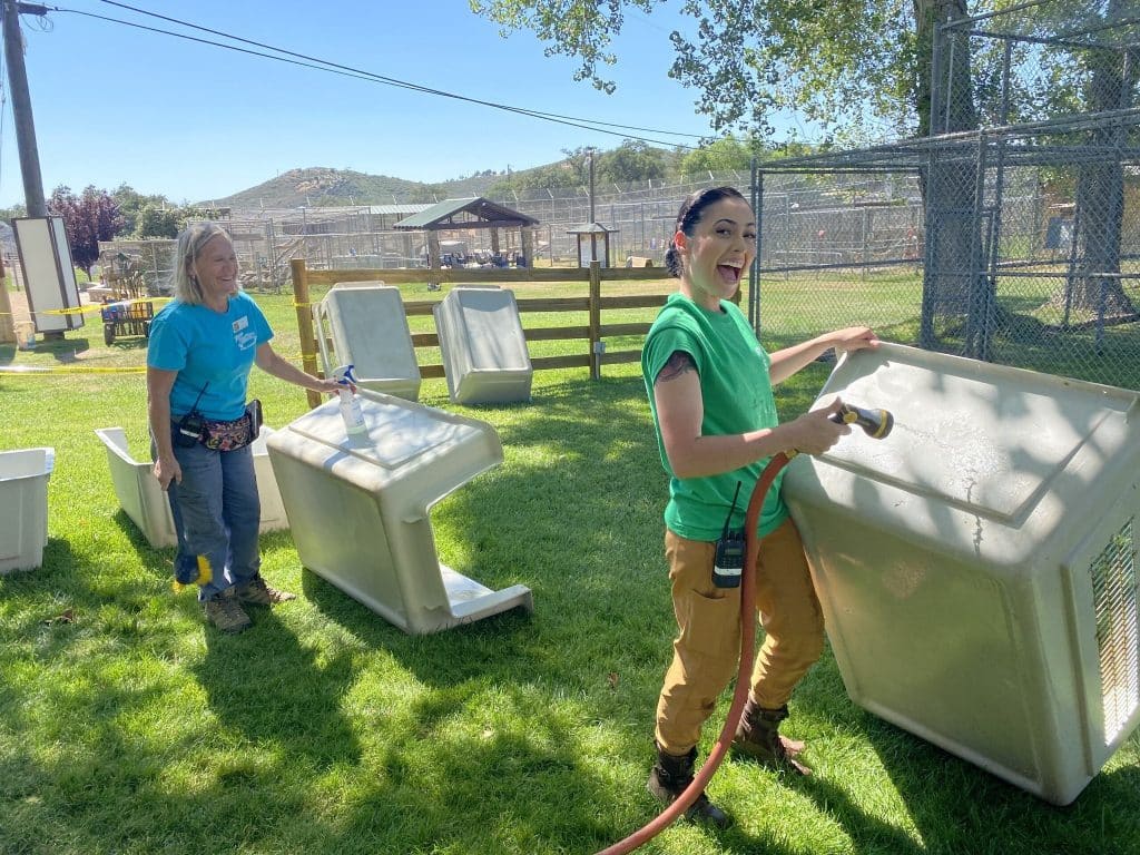 animal-care-sanctuary-volunteer-opportunity-in-San-Diego-helping-exotic-animals-how-to-help-wild-animals