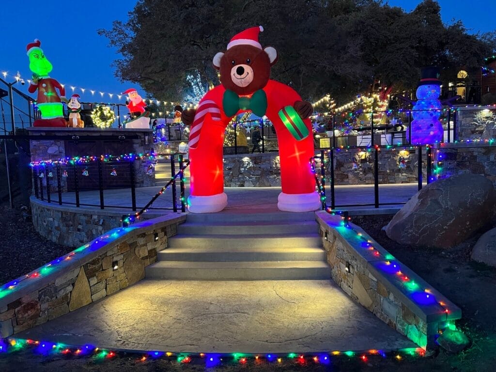 help-animal-charities-unforgettable-experience-see-wild-animals-up close-buy-tickets-today-help-us-raise-funds-to-support-animal-welfare